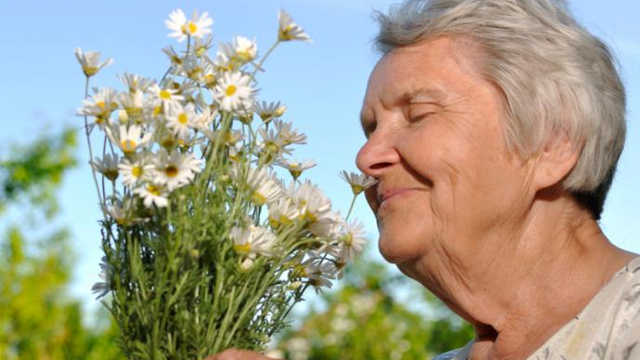 کمک به سالمندان